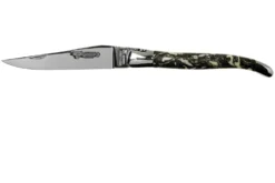 Laguiole En Aubrac 12cm L'Organique L0212B1I/FSI1, Couteau Laguiole