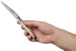 Laguiole En Aubrac Classic 12cm Corne L0212PCI-FSI1 -Meilleurs Couteaux AUL0212PCI FSI1 08 laguiole en aubrac v201908 scaled