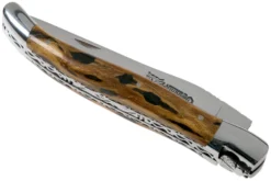 Laguiole En Aubrac 12cm Double Plates, Cactus Poncé Main, L0712CA51-FSI1 -Meilleurs Couteaux AUL0712CA51 FSI1 04 laguiole en aubrac v202010 scaled