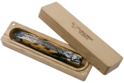 Laguiole En Aubrac 12cm Double Plates, Cactus Poncé Main, L0712CA51-FSI1 -Meilleurs Couteaux AUL0712CA51 FSI1 08 laguiole en aubrac v202010 scaled