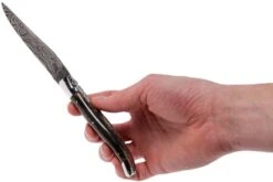 Laguiole En Aubrac 12 Cm Damast Couteau, Full Handle Corne L0712PCI-FFI1 -Meilleurs Couteaux AUL0712PCI FFI1 08 laguiole en aubrac aul0712pci ffi1 08