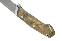 Bark River Classic Drop Point Hunter CPM S45VN Buckeye Burl, Couteau Fixe -Meilleurs Couteaux BRK02 176BB 04 barkriver scaled
