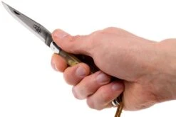 Forge De Laguiole 12110INCABDF, Corne D'Aubrac -Meilleurs Couteaux LA12110INCABDF 07 forge de laguiole la12110incabdf 07