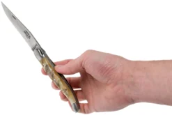 Forge De Laguiole 12 Cm 1212INBESAT Corne De Bélier, Couteau Laguiole -Meilleurs Couteaux LA1212INBESAT 08 forge de laguiole scaled