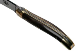 Forge De Laguiole 129B, Pointe De Corne 14 Forge De Laguiole 129B, Pointe De Corne -Meilleurs Couteaux LA129B 07 forge de laguiole v202010 scaled